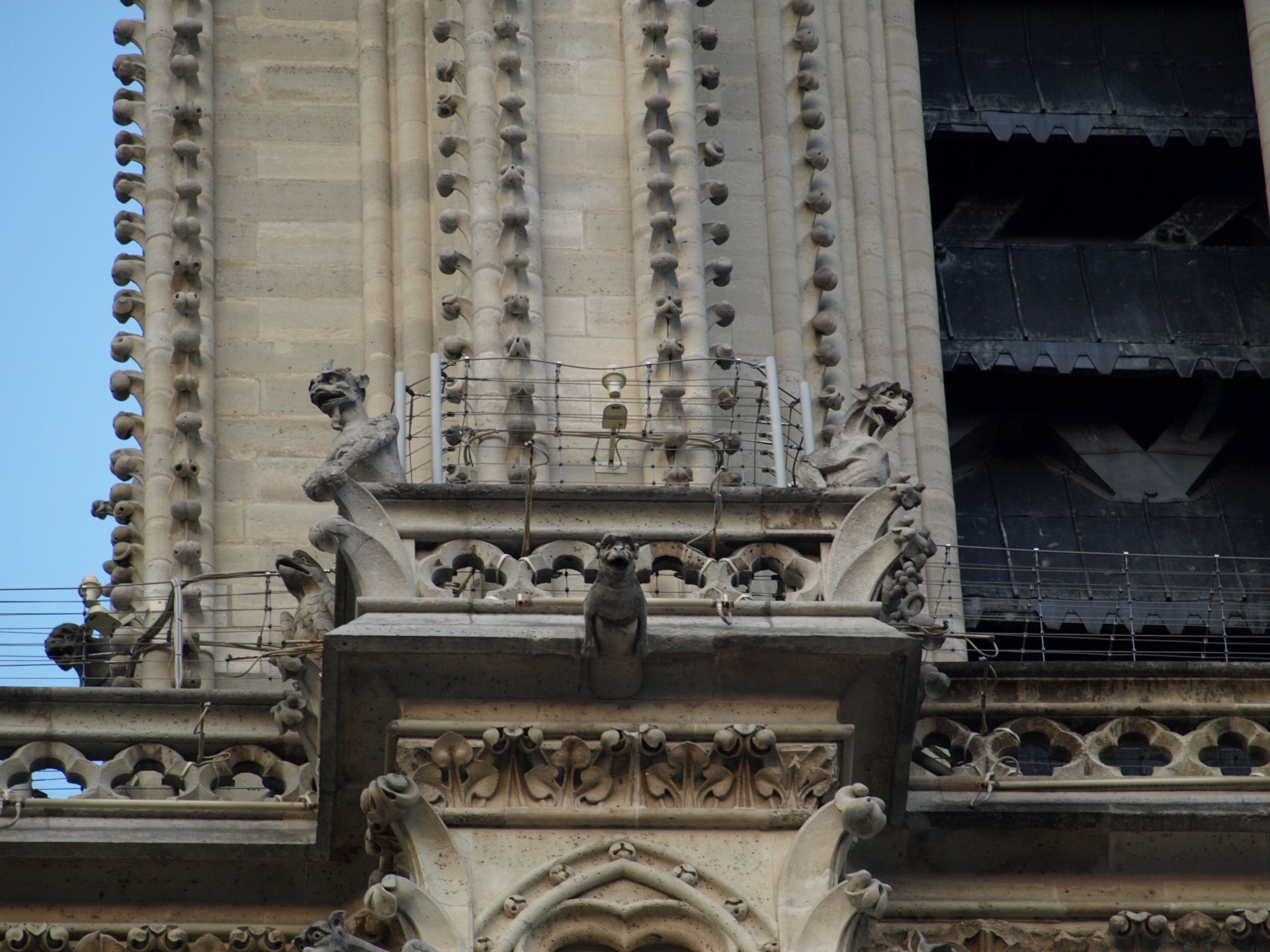 Gargoyles Above the COlumns